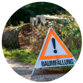 Image is not available